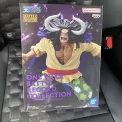battle record collection カイドウ フィギュア