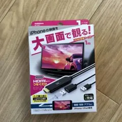 HDMI 変換ケーブル 1m iPhone/iPad用