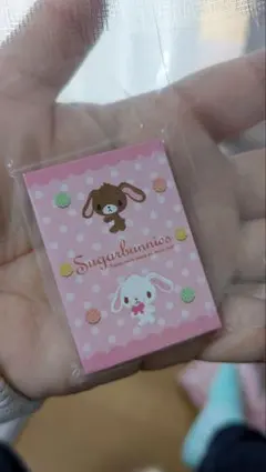 豆ガチャ本　サンリオ　プロフィール帳　シュガーバニーズ