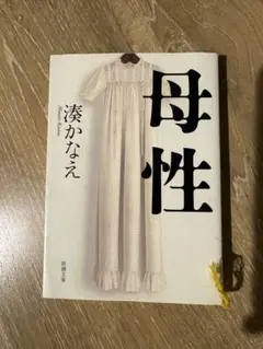 Item thumbnail for item 75ea2d2d-ae36-4cd9-8e6c-c707743d44f4