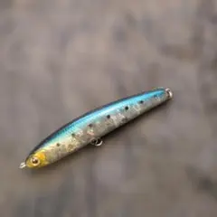 【ワンダー80リーチ 17.2g】イワシ系のサムネイル