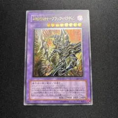 2026年最新】ブラックパラディン レリーフの人気アイテム - メルカリ