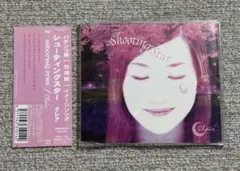 Clair Shooting Star FUCD-1012 花満開