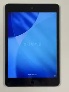 Apple iPad mini 第5世代 Wi-Fiモデル　256GB