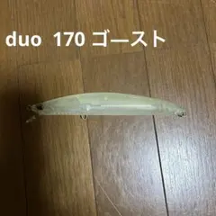 duo デュオタイドミノーゴ-スト170f クリアのサムネイル