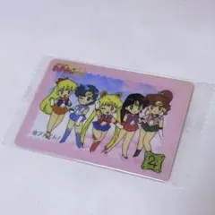 美少女戦士セーラームーン 月野うさぎ 水野亜美 カードダスデザインコレクション
