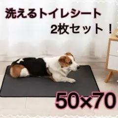 Item thumbnail for item 31820032-48d6-4a88-9533-cbf665e04dff