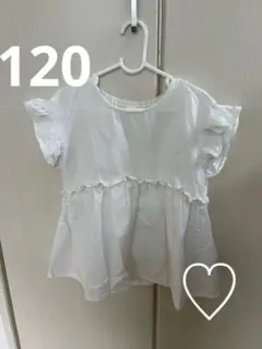 ホワイトフリル袖コットンシャツ　120