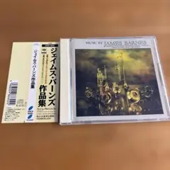 アインシュテュルツェンデ・ノイバウテン 半分人間セット - メルカリ