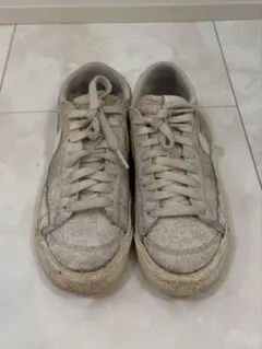 NIKE 여성 브레이저 LOW '77 SE 꽃 자수 23cm