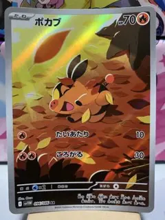 ポカブAR