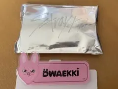 StrayKids SKZOO ランダムネームバッジ チャンビン トゥエッキ