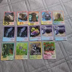 【鳥羽水族館】コレクションカード まとめ売り 14枚セット