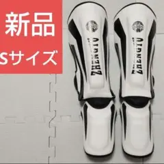 Item thumbnail for item 98fc4ed4-59f1-401c-bfb4-eaedbc58e79a