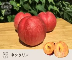 Su-eat FARM ネクタリン4キロのサムネイル