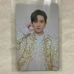 りょう様専用 ヒスントレカ