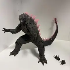 Hiya Toys ハイヤトイズ ゴジラ エヴォルヴ 2024&シーモ - メルカリ