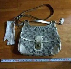 Item thumbnail for item 4c9652bc-2f06-4c97-a262-2df7dc48dcac