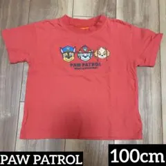 Paw Patrol Tシャツ 100cm パウパト　バースデイ