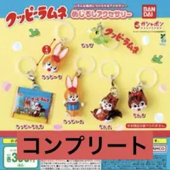 クッピーラムネ　めじるしアクセサリー　コンプセット　コンプリート