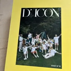 SEVENTEEN DICON 写真集 トレカセブチ 各種付属品付