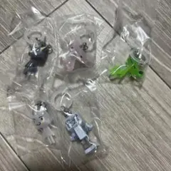 どこでもいっしょ　めじるしアクセサリー　セミコンプ