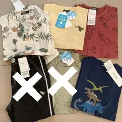 kladskap  恐竜系６点セット　130