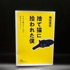 捨て猫に拾われた僕 きみが教えてくれた生き方のヒント