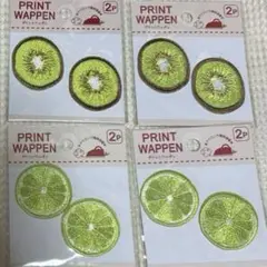 アイロン フルーツ ワッペン キウイ ライム