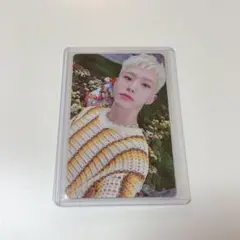 SEVENTEEN ホシ sector17 kit キノ トレカ