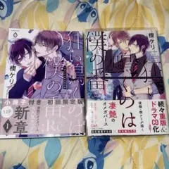 狂い鳴くのは僕の番