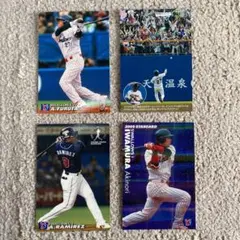 東京ヤクルトスワローズ　プロ野球チップスカード（2005）