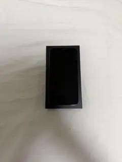 iPhone12pro 256GB