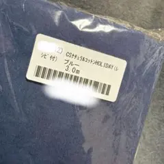 check&stripe ナチュラルコットンHOLIDAY ブルー3m