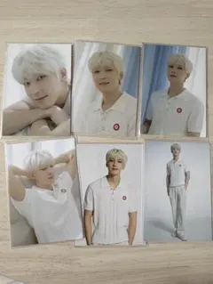 SEVENTEEN HOMEトレカ　ウォヌ