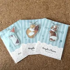 モフサンド　アクリルチャーム3個セット　 ファミリーマート