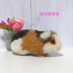 海月様専用 羊毛フェルト