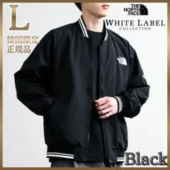 韓国限定✨THE NORTH FACE オレマEX ボンバージャケット Lサイズ