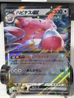 ハピナスEX RR 085/100