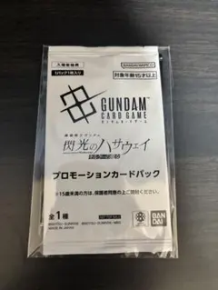 機動戦士ガンダム　閃光のハサウェイ　キルケーの魔女　入場特典