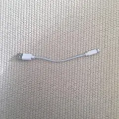 Item thumbnail for item 20da1b29-faa3-4da3-bfd6-34a80684c970