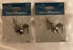 ディズニー シー 25周年 チャーム ダッフィー　シェリーメイ