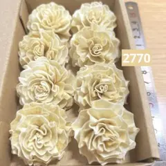 솔라 플라워 2770
