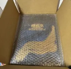 郵便局限定 遊戯王 青眼の白龍 浮世絵風 25周年記念 ブルーアイズ