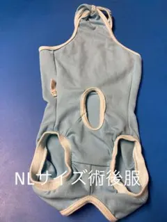 Item thumbnail for item 507c162e-28e5-47f5-b52b-f0435b80aeda