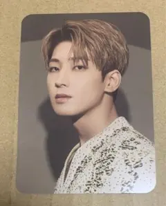 2026年最新】dicon seventeen ウォヌの人気アイテム - メルカリ