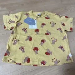 Item thumbnail for item 1e5de161-bcd4-46b7-9039-cfdf963fe3c3