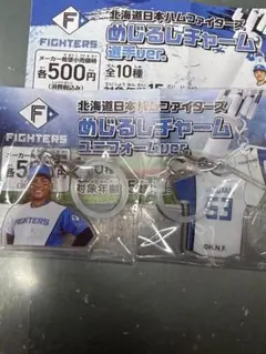 北海道日本ハムファイターズ めじるしチャーム 水谷瞬