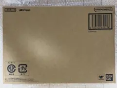 METAL BUILD ケンプファー