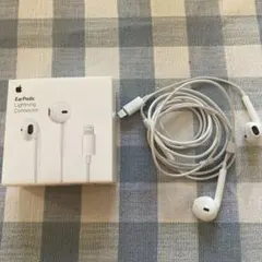 APPLE EarPods